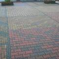 фото товара Тротуарная плитка Катушка 225х136х40