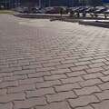 фото товара Тротуарная плитка Волна 210х110х40